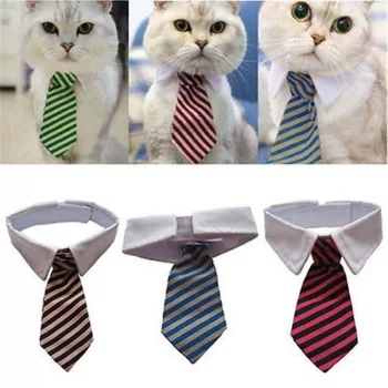 Novelty Striped Tie Collar