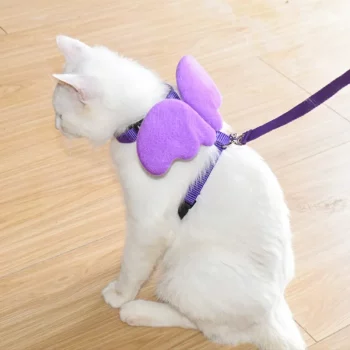 Colourful Angel Wing Harness and Leash Set