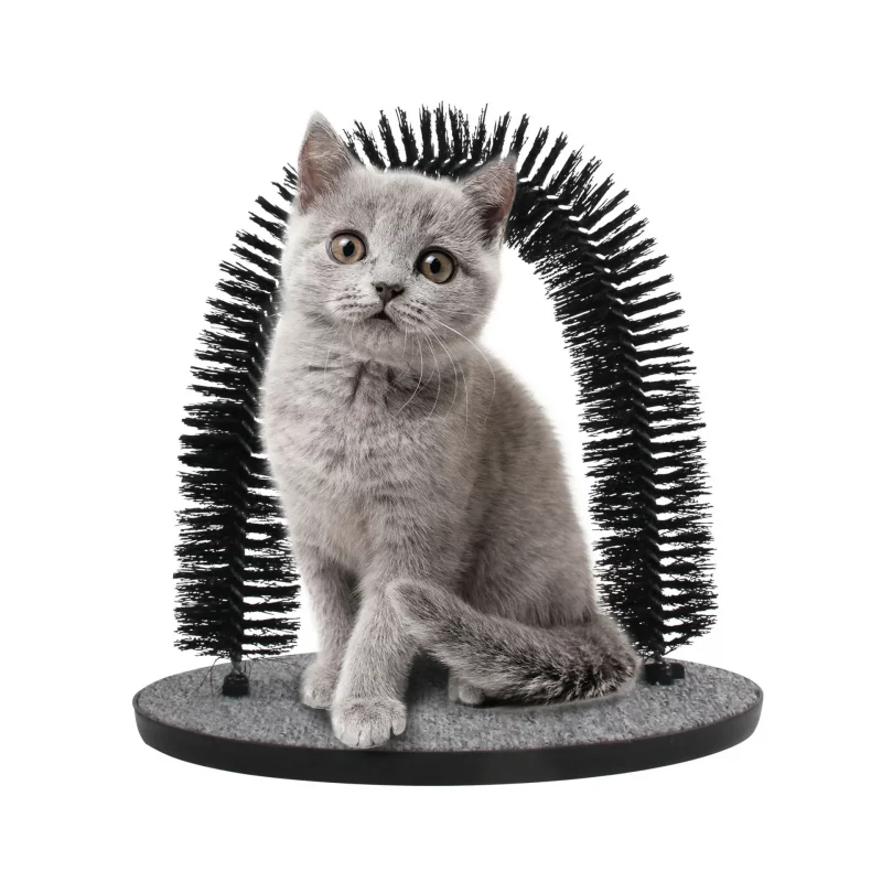 Arch Self Groomer and Massaging Scratcher - Image 2