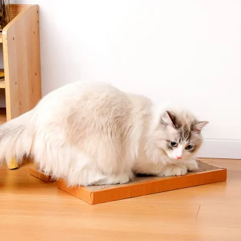 Mouse Rat Flat Scratching Pad Board