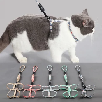 Cherry Harness and Corded Leash Set