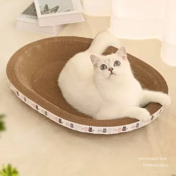 Cardboard Bowl Scratching Bed Lounger