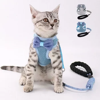 Bow Harness and Corded Leash Set
