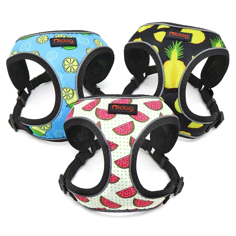 Fruit Stripes Reflective Harness and Leash Set - Image 3