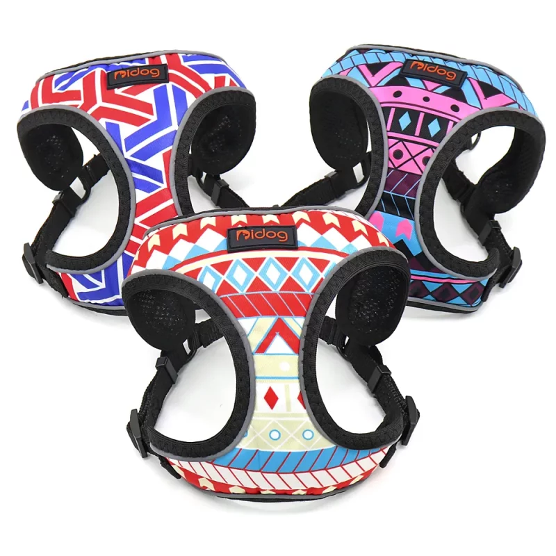 Fruit Stripes Reflective Harness and Leash Set - Image 2