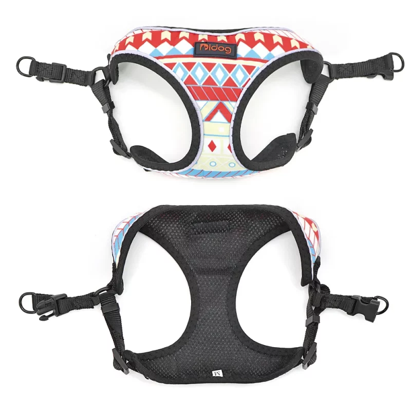 Fruit Stripes Reflective Harness and Leash Set - Image 5