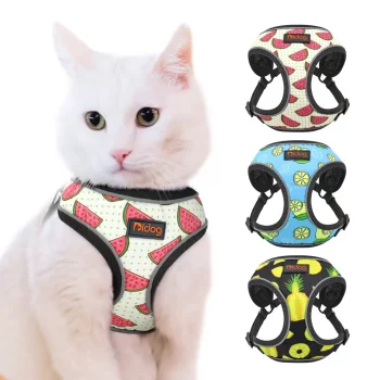 Fruit Stripes Reflective Harness and Leash Set