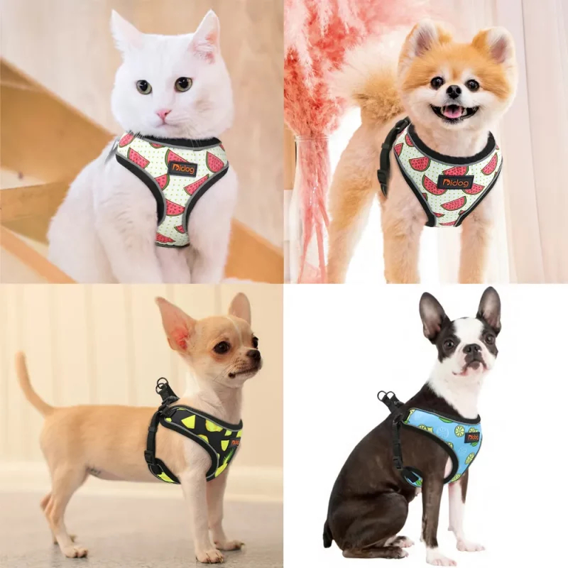 Fruit Stripes Reflective Harness and Leash Set - Image 4