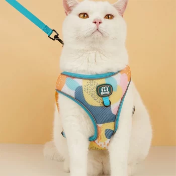 Comfy Colourful Adjustable Harness And Leash Set