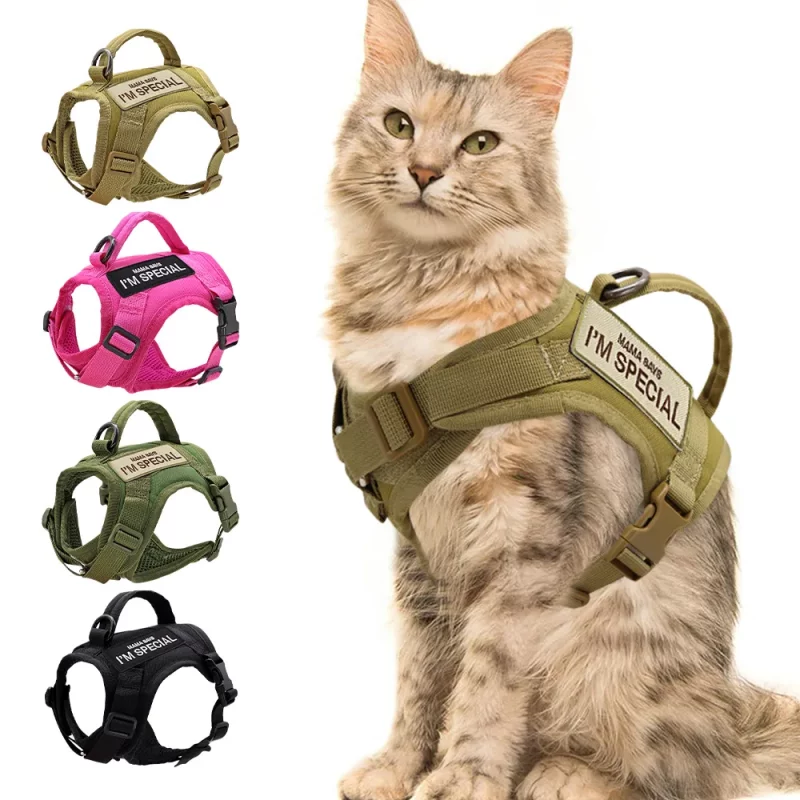 Military Style Harness and Leash Set