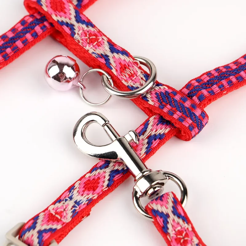 Colourful Zigzag Harness and Leash Set - Image 4