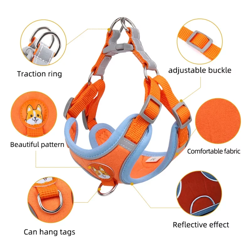 Colourful Reflective Harness and Leash Set - Image 3