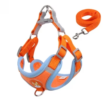 Colourful Reflective Harness and Leash Set
