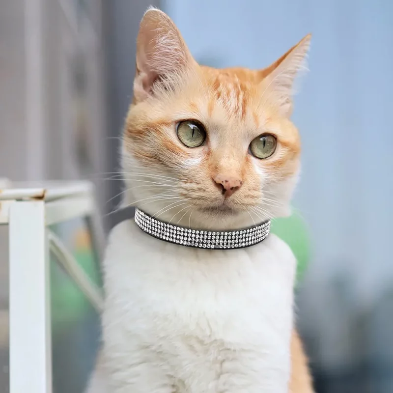 Rhinestone Soft Suede Adjustable Collar with Bell - Image 5