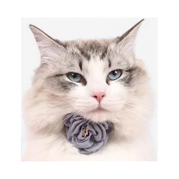 Camellia Flower Adjustable Collar