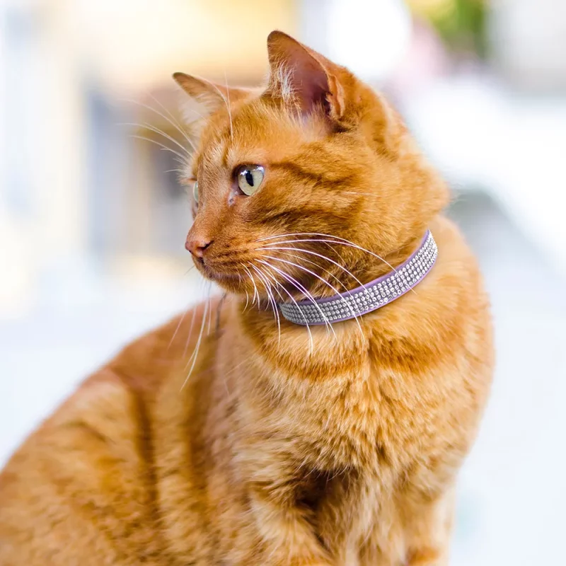 Rhinestone Soft Suede Adjustable Collar with Bell - Image 3