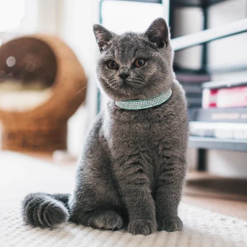 Rhinestone Soft Suede Adjustable Collar with Bell - Image 4