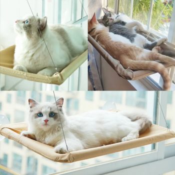 Window Hammock Bed