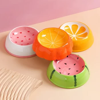 Fruit Ceramic Food Water Bowl