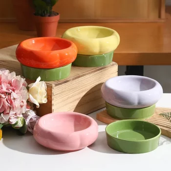 Dual Purpose Ceramic Food Water Bowl